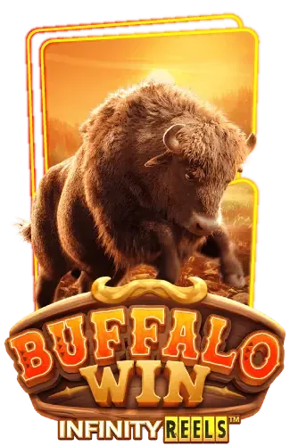 buffalo-win -ruaysup